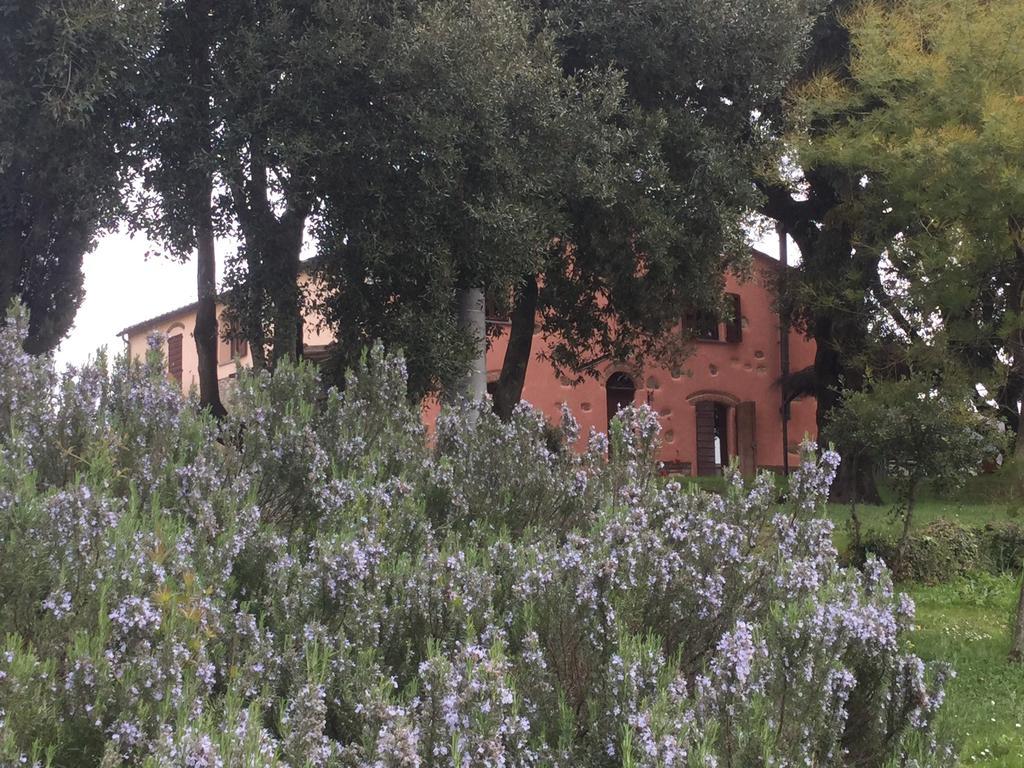 Penzion Agriturismo Colle Donatucci Castagneto Carducci Exteriér fotografie