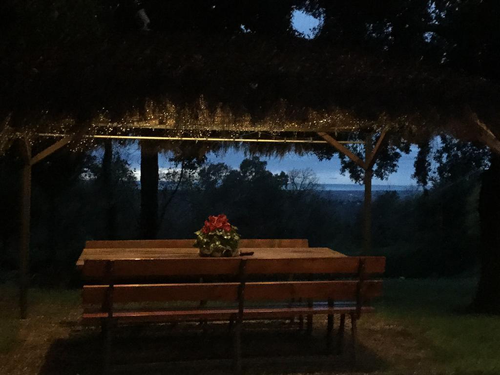 Penzion Agriturismo Colle Donatucci Castagneto Carducci Exteriér fotografie