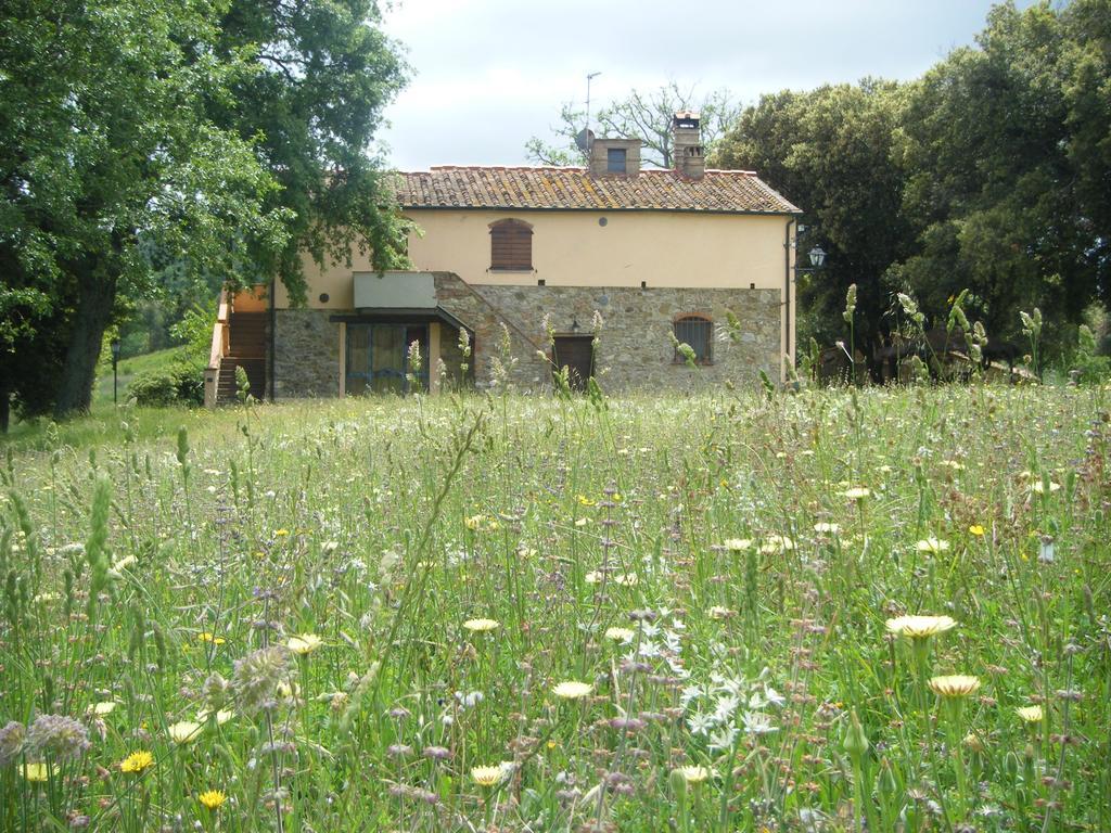 Penzion Agriturismo Colle Donatucci Castagneto Carducci Exteriér fotografie